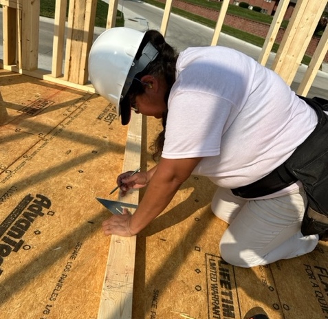 Lucinda - Construction studies